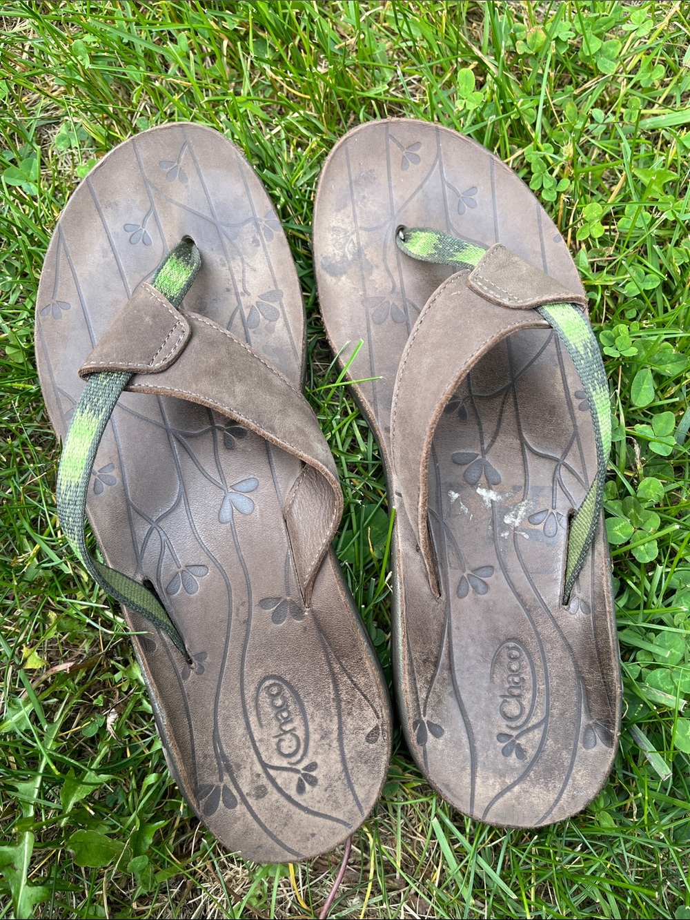 Chaco Women's Brown Sandals with Green Webbing